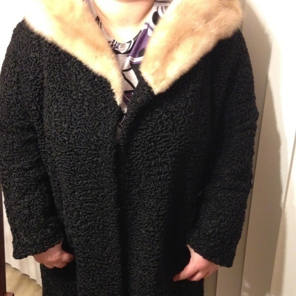 Persian curly lambs wool coat golden mink …
